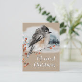 Winter Sparrow Ilex Berries Branch Woodland Scene Briefkaart (Staand voorkant)