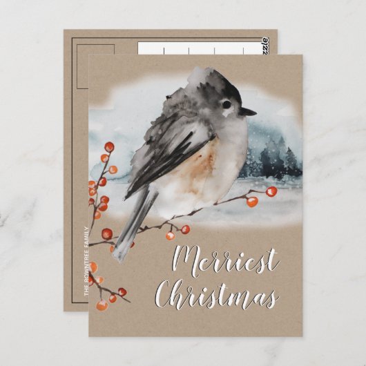 Winter Sparrow Ilex Berries Branch Woodland Scene Briefkaart (Voorkant / Achterkant)