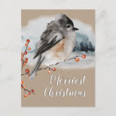 Winter Sparrow Ilex Berries Branch Woodland Scene Briefkaart (Voorkant)