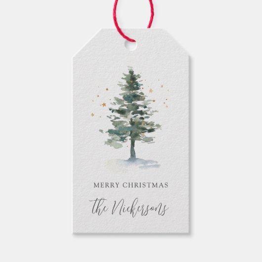 Winter Splendor Personalized Merry Kerstmis Cadeaulabel (Voorkant)