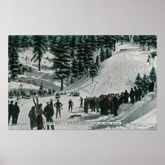 Winter Sport Scene in Charleston Mountain Poster (Voorkant)
