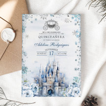 Winter Sprookjeskasteel Koets Quince Verjaardag