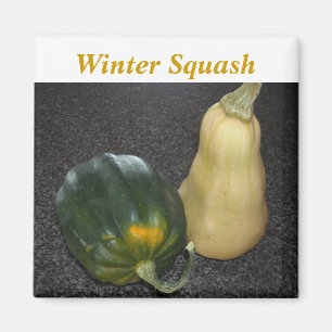 Winter Squash - Acorn en Butternut Magneet
