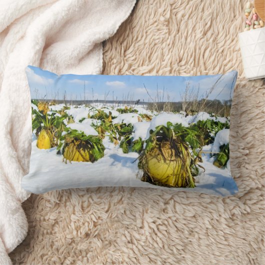 Winter Squash in Snow - Gepersonaliseerd Kussen (Deken)