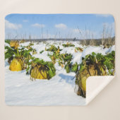 Winter Squash in Snow - Gepersonaliseerd Sherpa Deken (Voorkant (horizontaal))