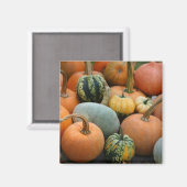 Winter Squash Magnet (Voorkant / Achterkant)