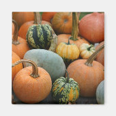 Winter Squash Magnet (Voorkant)