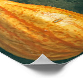Winter Squash Poster (Hoek)