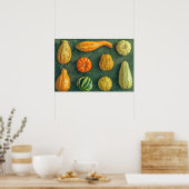 Winter Squash Poster (Keuken)