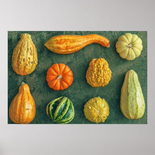 Winter Squash Poster (Voorkant)