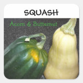 Winter Squash Vierkante Sticker (Voorkant)
