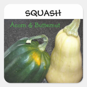 Winter Squash Vierkante Sticker