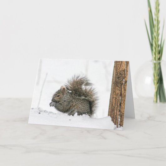 Winter Squirrel Notecard Kaart (Voorkant)