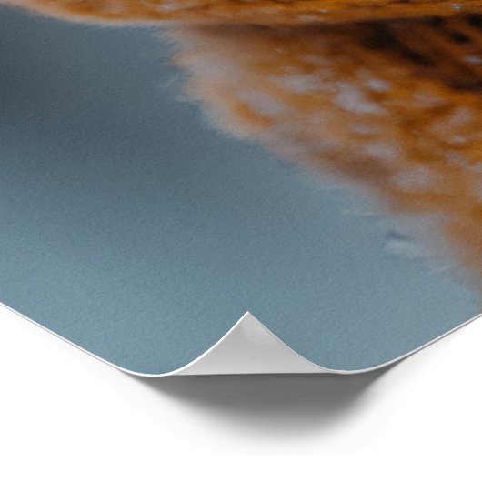 Winter Squirrel Poster (Hoek)