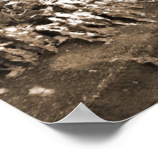 Winter Stone Bridge Poster (Hoek)