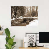 Winter Stone Bridge Poster (Thuiskantoor)