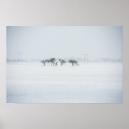 Winter storm landscape poster (Voorkant)