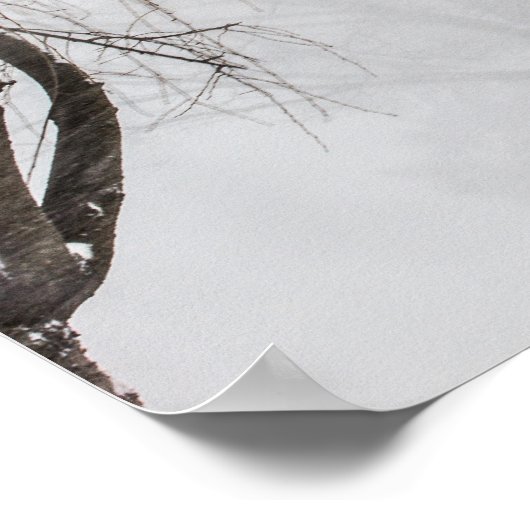 Winter storm, Ohio. Poster (Hoek)