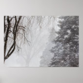 Winter storm, Ohio. Poster (Voorkant)
