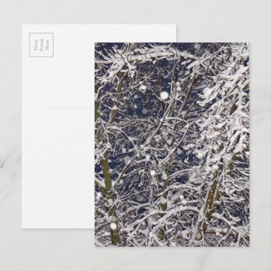 Winter Storm sneeuwboom Natuur foto Briefkaart (Voorkant / Achterkant)