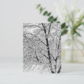 Winter Storm sneeuwboom Natuur foto Briefkaart (Staand voorkant)