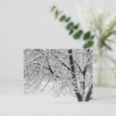 Winter Storm sneeuwboom Natuur foto Briefkaart (Staand voorkant)