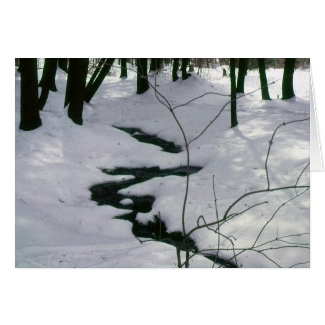 Winter Stream (Voorkant Horizontaal)