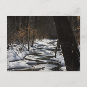 Winter Stream Briefkaart