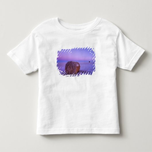 Winter strobalen bij Cartwright North Kinder Shirts (Voorkant)