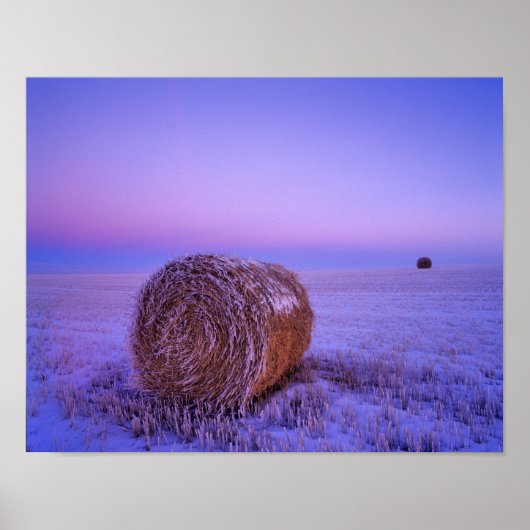 Winter strobalen bij Cartwright North Poster (Voorkant)