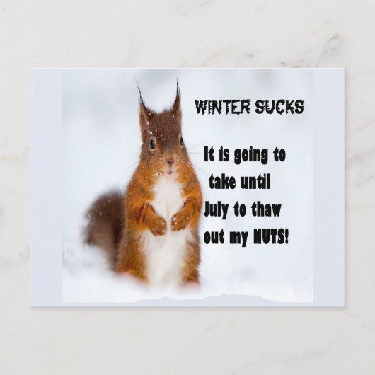 Winter Sucks Briefkaart (Voorkant)