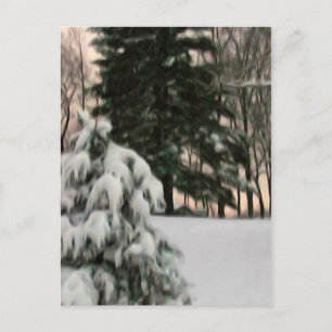 Winter Sun Briefkaart