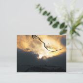 Winter Sun Briefkaart (Staand voorkant)