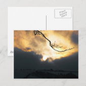Winter Sun Briefkaart (Voorkant / Achterkant)