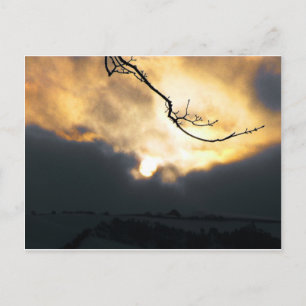 Winter Sun Briefkaart