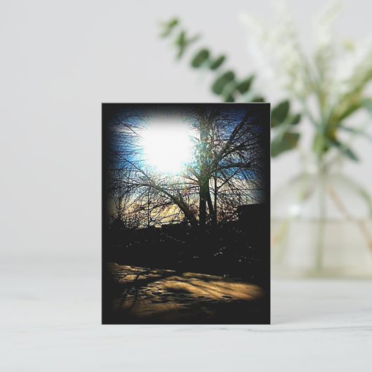 Winter Sun Briefkaart (Staand voorkant)