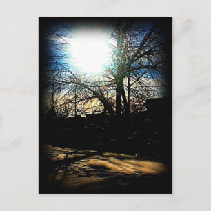 Winter Sun Briefkaart