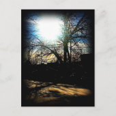 Winter Sun Briefkaart (Voorkant)