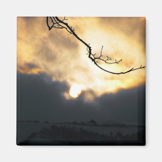 Winter Sun Magneet (Voorkant)