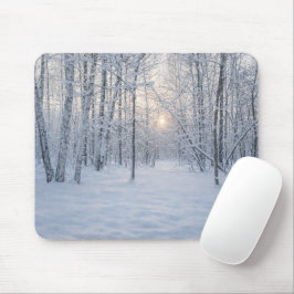 Winter Sunlight in Quiet Birch Forest Muismat