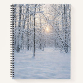 Winter Sunlight in Quiet Birch Forest Notitieboek