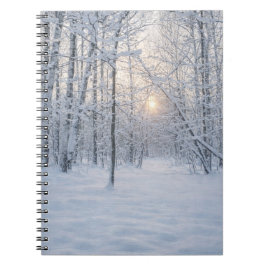Winter Sunlight in Quiet Birch Forest Notitieboek
