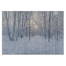 Winter Sunlight in Quiet Birch Forest Snijplank