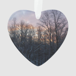 Winter Sunrise I Pastel Natuur Landschap Ornament