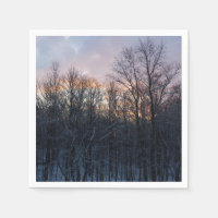 Winter Sunrise I Pastel Natuur Landschap