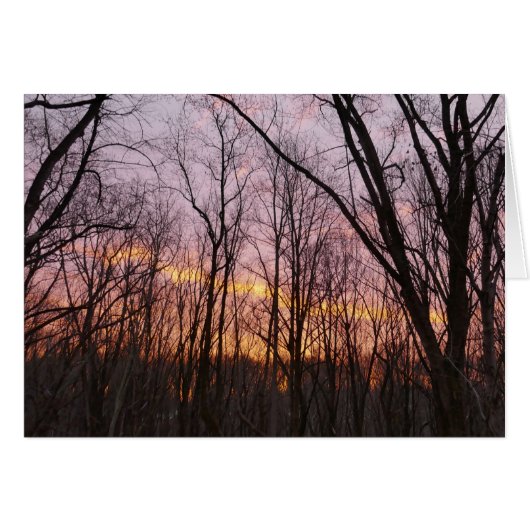 Winter Sunrise II (Voorkant Horizontaal)