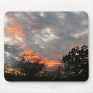 Winter Sunset Natuur Landscape Photography Muismat