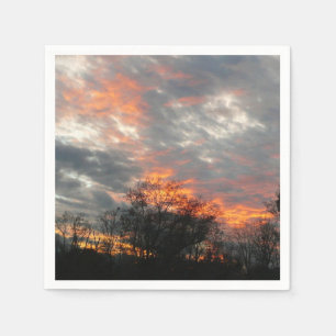 Winter Sunset Natuur Landscape Photography Servet