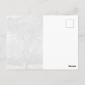 Winter Sycamore Tree Briefkaart (Achterkant)