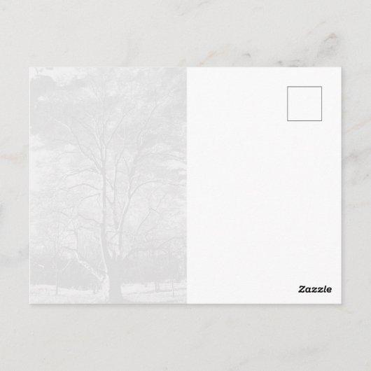 Winter Sycamore Tree Briefkaart (Achterkant)